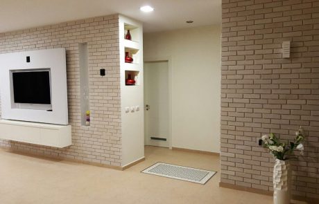 בריק בוסקו בהיר חיפוי קיר פנימי