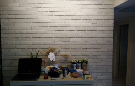 בריק בוסקו בהיר חיפוי קיר