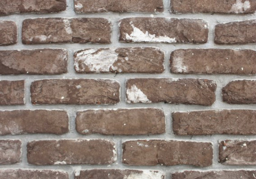 בריקים ללא רובה